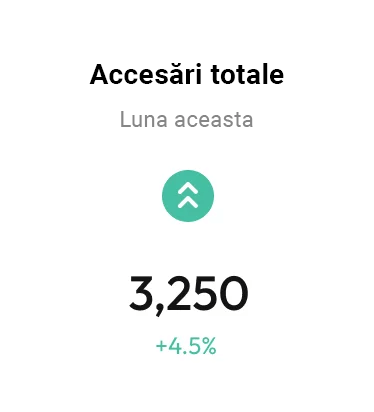 Servicii Web Expert 19 Rapoarte Analiza SEO