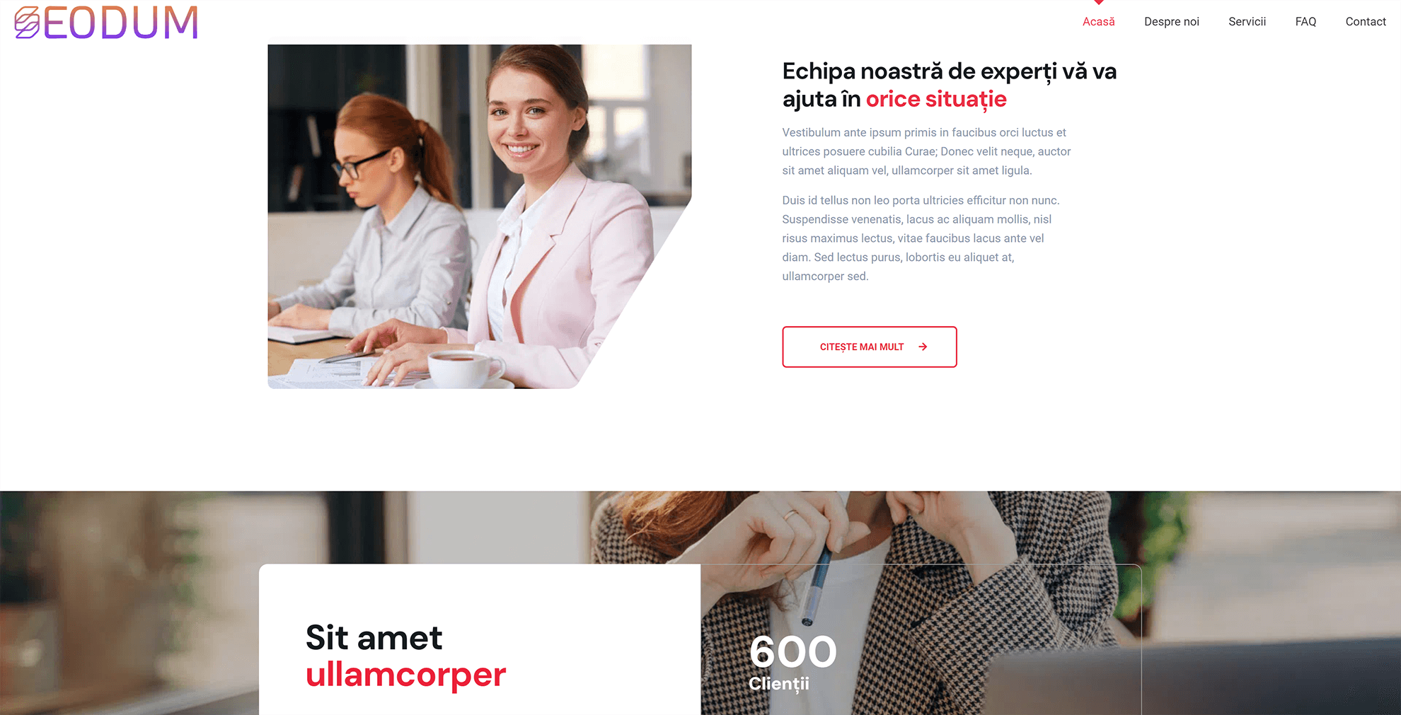 Model site web firme de contabilitate 1 8 Seodum.ro - Model site web firme de contabilitate 1 2 min