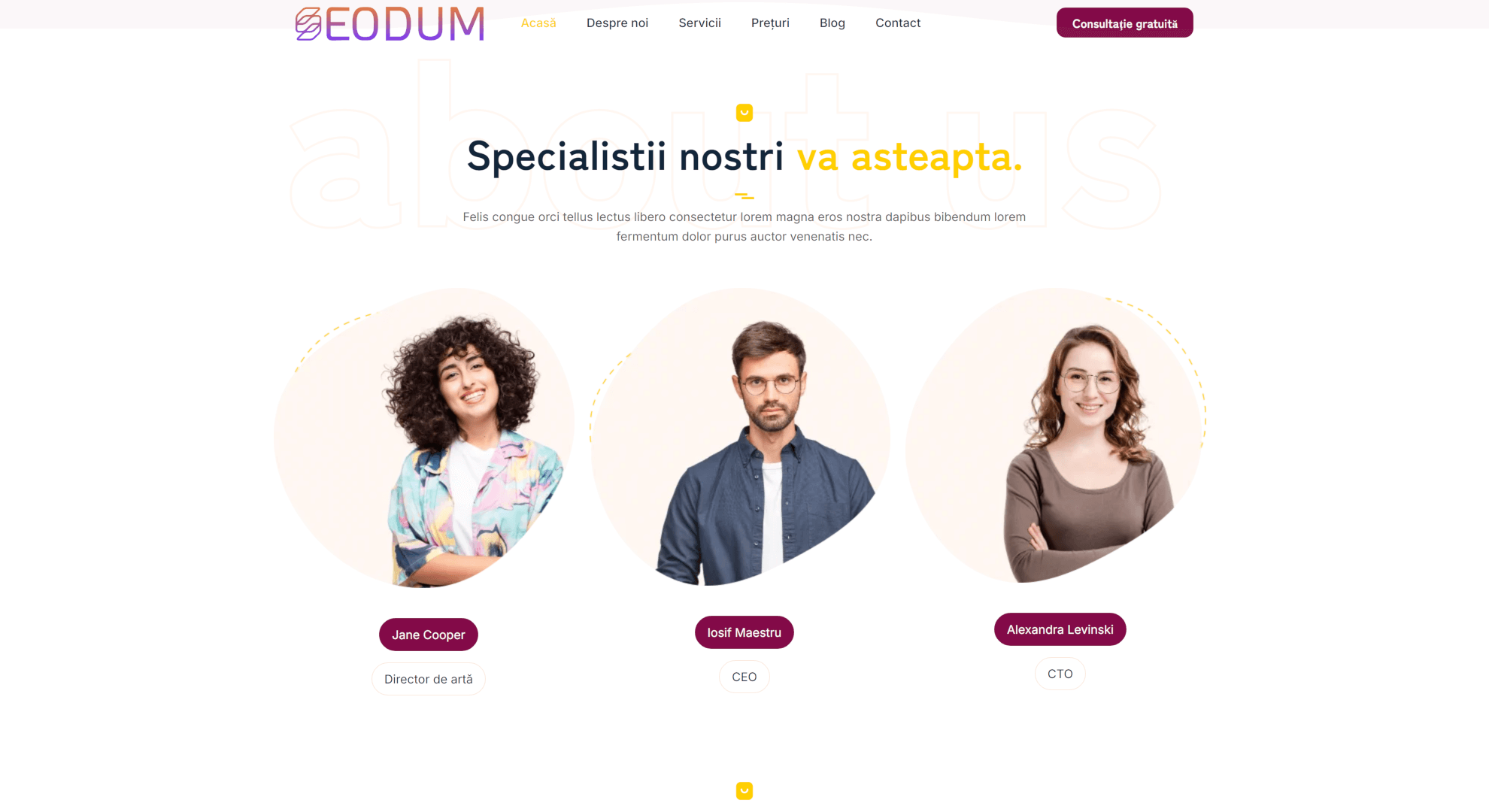 Model site web de publicitate și marketing 1 7 Seodum.ro - Model site web firme de publicitate si marketing 1 5 min