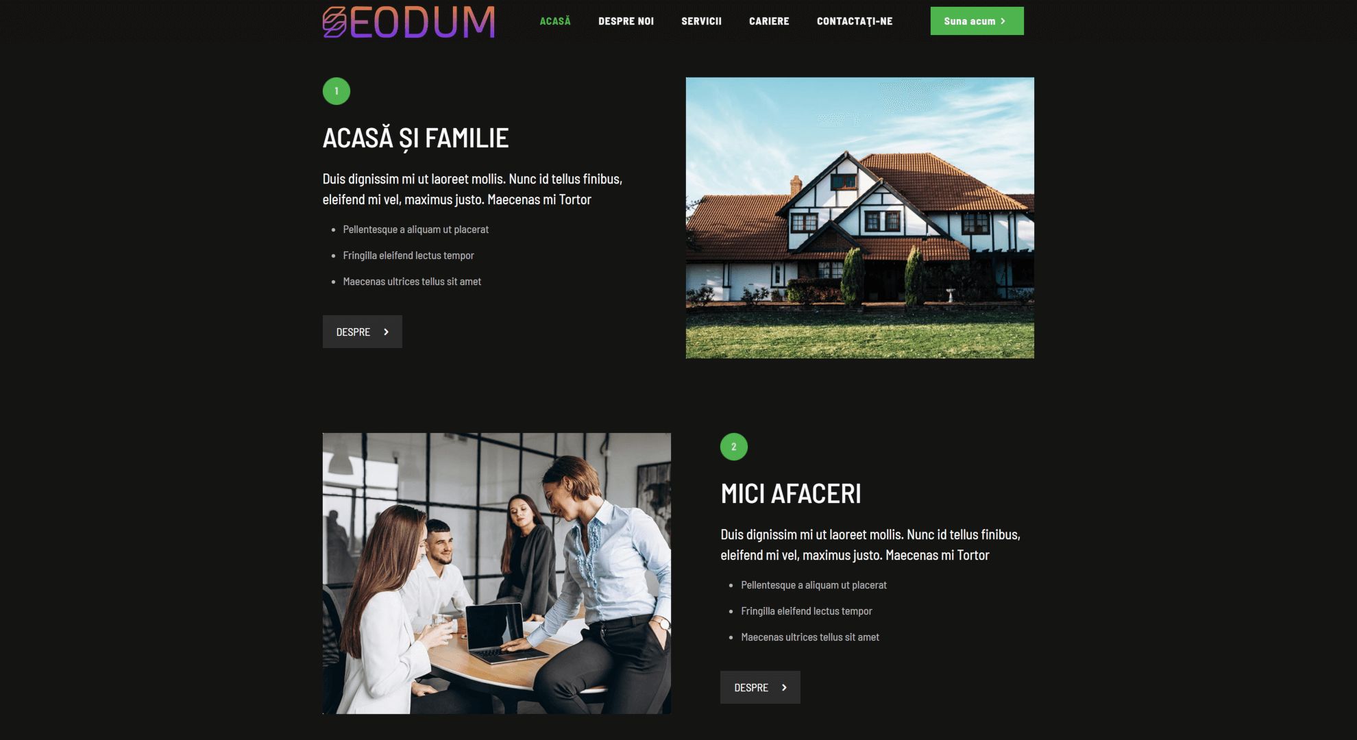 Model site web firme de securitate 1 5 Seodum.ro - Model site web firme de securitate 1 3 min