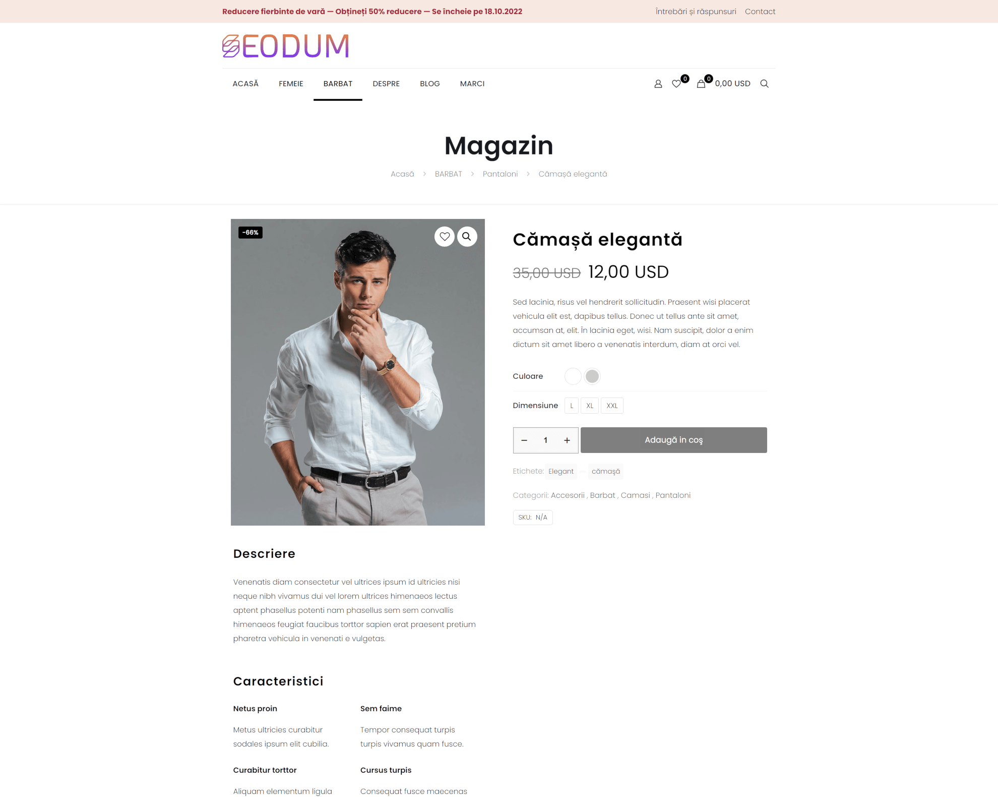 Model site web magazine de îmbrăcăminte 1 8 Seodum.ro - Model site web magazine de imbracaminte 1 6 min